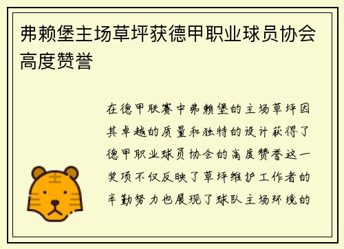 弗赖堡主场草坪获德甲职业球员协会高度赞誉